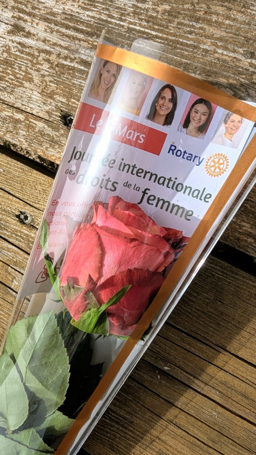 Photo en gros plan d'une rose rouge posée sur une table en bois.